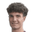 M. Dalla Vecchia